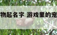 游戏里的宠物起名字 游戏里的宠物起名字怎么起