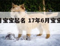 17年6月宝宝起名 17年6月宝宝起名大全