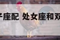 处女座和双子座配 处女座和双子座配吗 婚姻