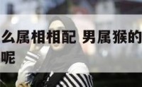 男属猴与什么属相相配 男属猴的和什么属相最配最合适呢
