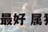 属狗住房4层最好 属狗住楼几层好