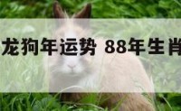 88年生肖龙狗年运势 88年生肖龙狗年运势怎么样