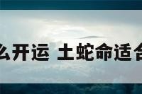 土命蛇用什么开运 土蛇命适合做什么工作