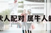 属牛生意合伙人配对 属牛人的最佳合伙人
