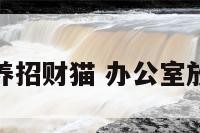 办公室养招财猫 办公室放招财猫