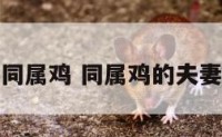 同属鸡 同属鸡的夫妻