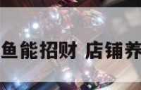 店面养几条鱼能招财 店铺养几条鱼旺财
