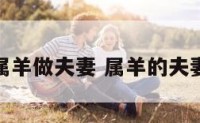 属羊做夫妻 属羊的夫妻