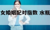 水瓶男双子女婚姻配对指数 水瓶男双子女匹配指数