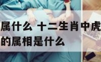 数虎的前面属什么 十二生肖中虎前面的属相是什么后面的属相是什么