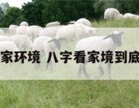 八字看家环境 八字看家境到底准不准