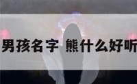 熊王取名字男孩名字 熊什么好听的男孩名字