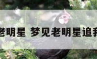 梦见老明星 梦见老明星追我很怕