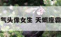 天蝎座霸气头像女生 天蝎座霸气的头像