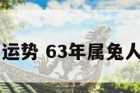 63兔今日运势 63年属兔人今日运程