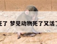 梦见动物死了 梦见动物死了又活了什么意思
