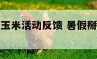 假期去地掰玉米活动反馈 暑假掰玉米实践作文