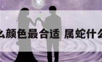 属蛇什么颜色最合适 属蛇什么颜色好