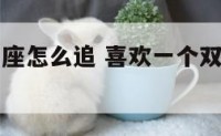 喜欢上双子座怎么追 喜欢一个双子座的男生,怎么办