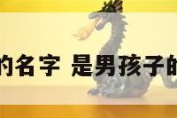是男孩子的名字 是男孩子的名字大全