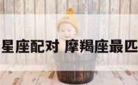 摩羯座匹配星座配对 摩羯座最匹配星座配对