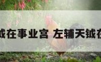 左辅天钺在事业宫 左辅天钺在财帛宫