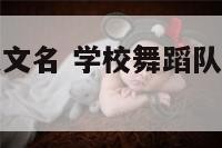 女生舞蹈队英文名 学校舞蹈队名字有创意好听英文