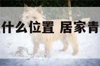 家居青龙位在什么位置 居家青龙位应该怎么布置