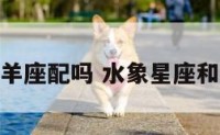 水象座和白羊座配吗 水象星座和哪个星座配
