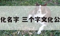 三个字的文化名字 三个字文化公司起名大全