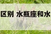 水瓶座有什么区别 水瓶座和水瓶座配吗座配不配