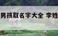 李姓氏字辈男孩取名字大全 李姓字辈大全查询