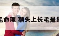 额头长毛命理 额头上长毛是象征什么