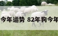 82年的狗今年运势 82年狗今年财运如何