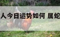 生肖属蛇的人今日运势如何 属蛇人今日运势怎么样