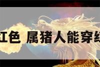 属猪可以穿红色 属猪人能穿红色的衣服吗