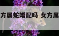 男方属龙女方属蛇婚配吗 女方属龙男方属蛇的婚姻好吗