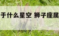 狮子座是属于什么星空 狮子座属于什么星象的星座