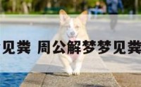 周公解梦梦见粪 周公解梦梦见粪水溅到身上