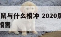 2020属鼠与什么相冲 2020属鼠与什么相冲相害