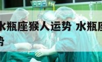 2017年水瓶座猴人运势 水瓶座属猴2021年运势