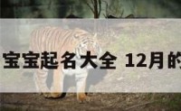 12月狗宝宝起名大全 12月的狗宝宝