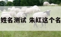 朱弘瑞姓名测试 朱红这个名字好吗
