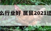 属鼠入什么行业好 属鼠2021适合从事什么行业