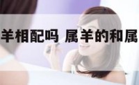 属羊的和属羊相配吗 属羊的和属羊的相配婚姻怎么样