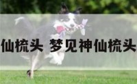 梦见神仙梳头 梦见神仙梳头好不好