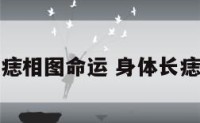身体上长痣相图命运 身体长痣图片大全