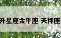 天秤座上升星座金牛座 天秤座 上升金牛