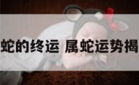 属蛇的终运 属蛇运势揭秘