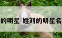 姓刘的的明星 姓刘的明星名字大全